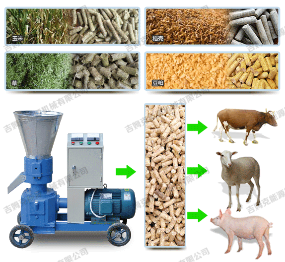 牧草顆粒機加工出來的顆粒飼料可以喂豬 牛 羊